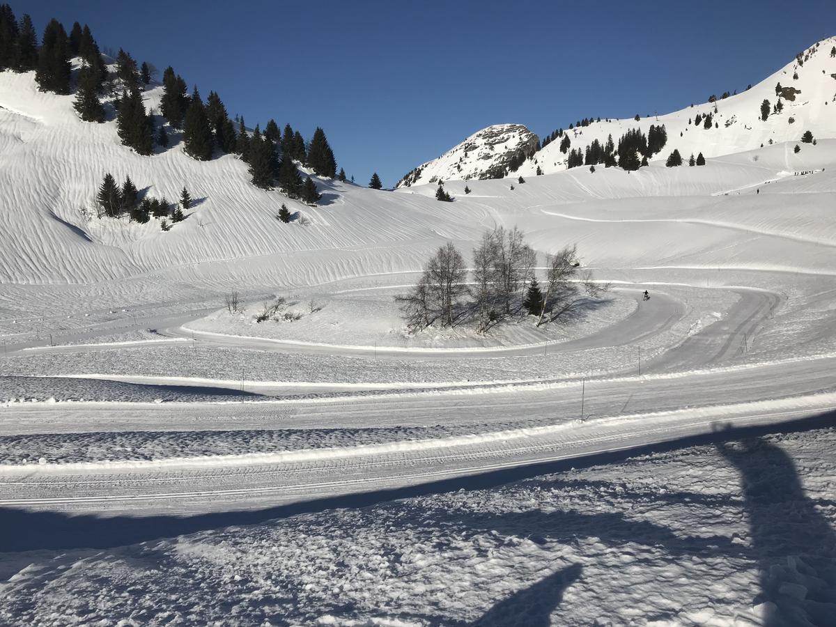 Residence Les Chardons Argentes 2 Samoens Bagian luar foto