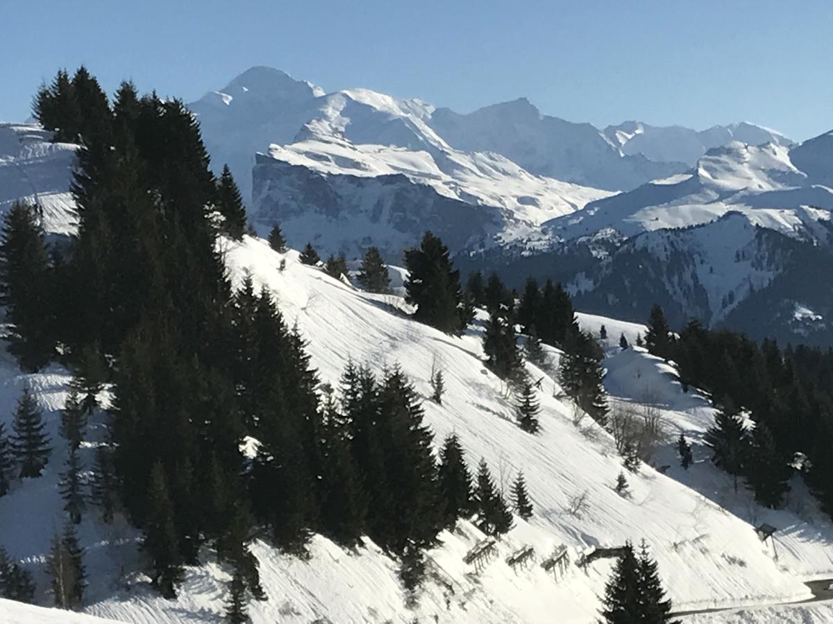 Residence Les Chardons Argentes 2 Samoens Bagian luar foto