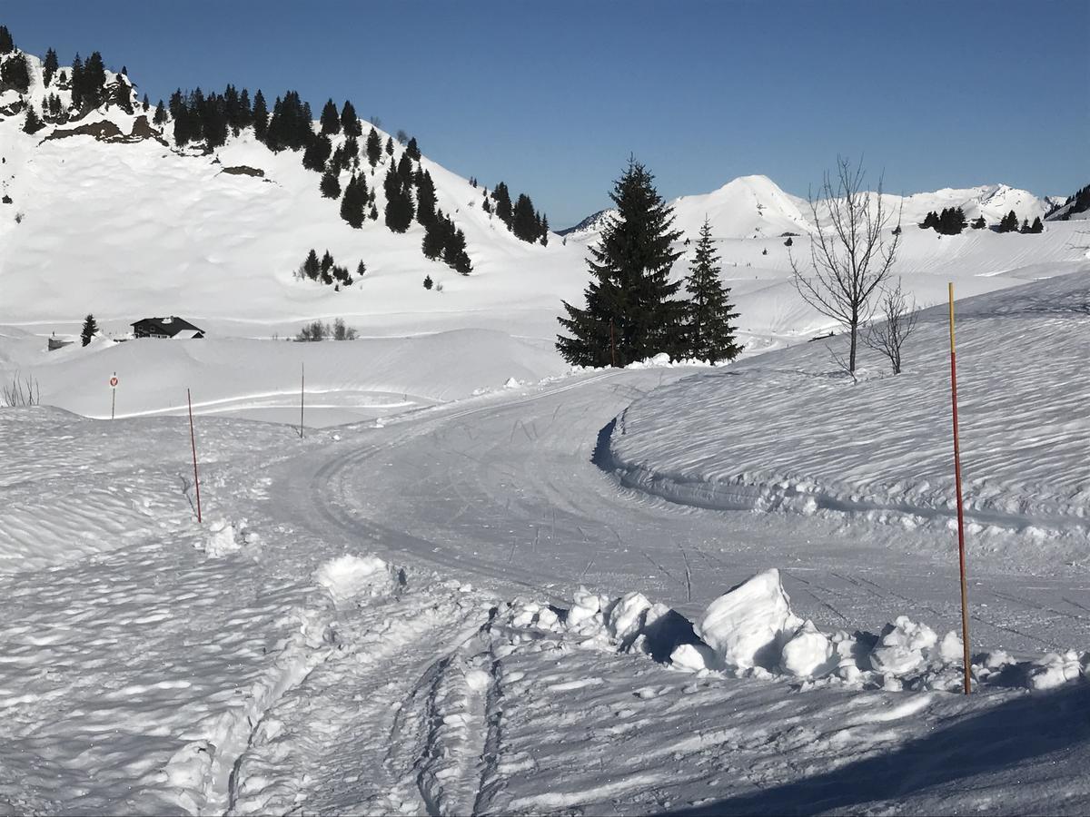 Residence Les Chardons Argentes 2 Samoens Bagian luar foto